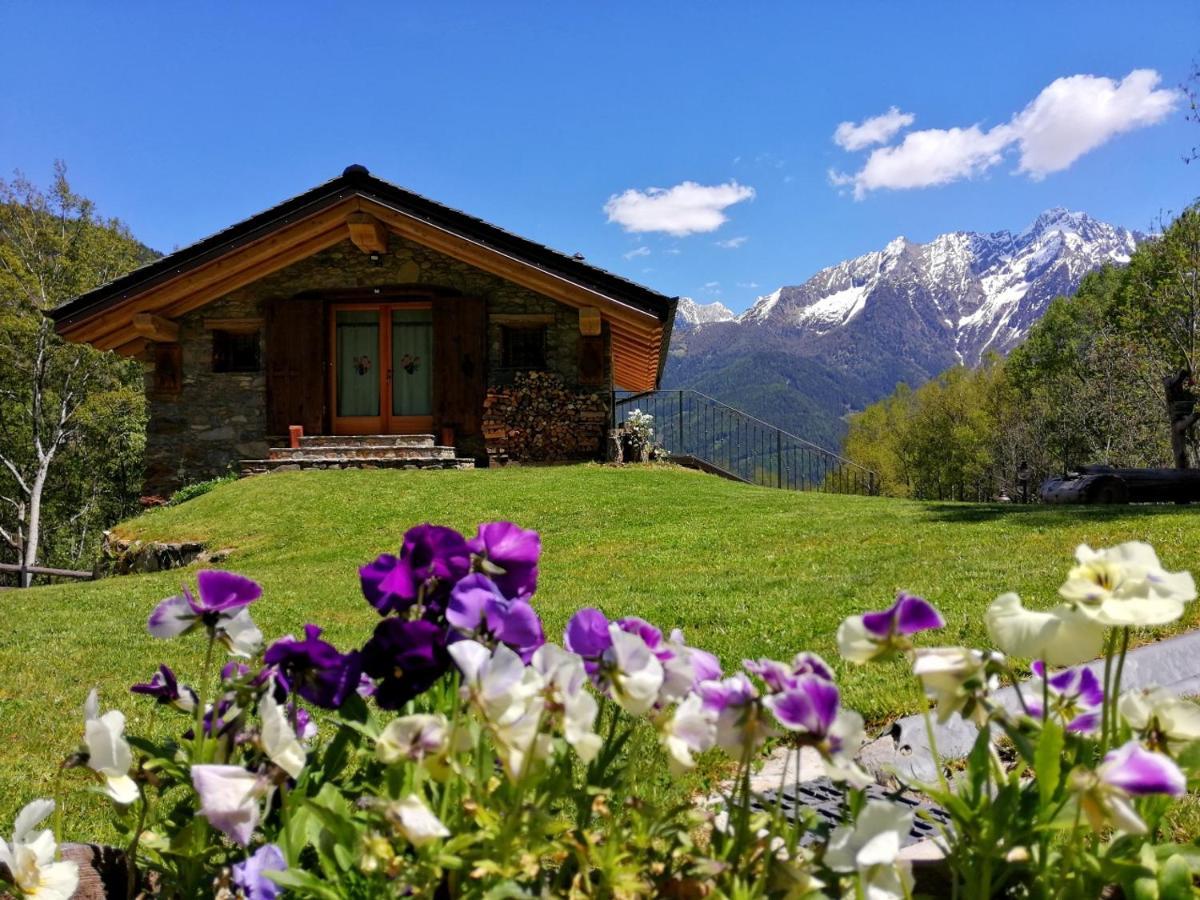 Chalet Cuore Selvatico Monno Εξωτερικό φωτογραφία